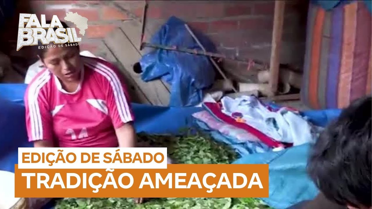 Tradição do cultivo de coca é ameaçada pelo tráfico na Bolívia