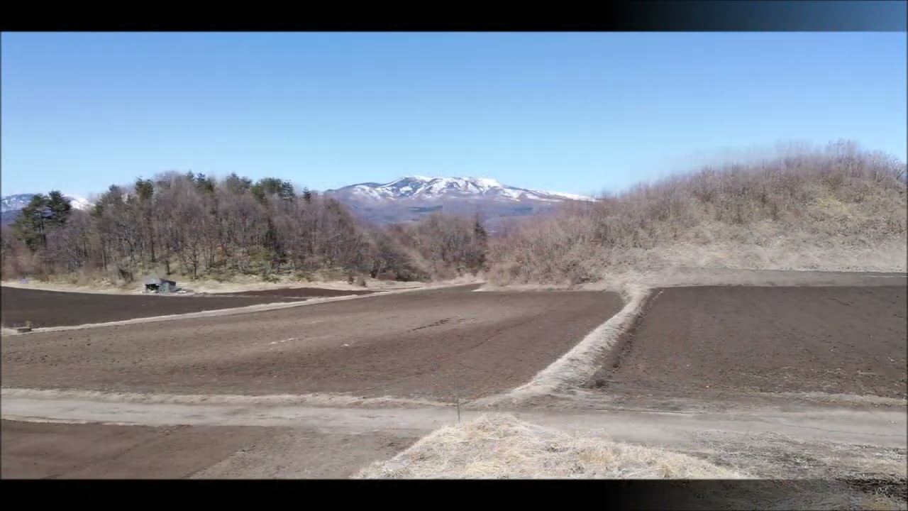 2026/03/14 朝、畑の散歩
