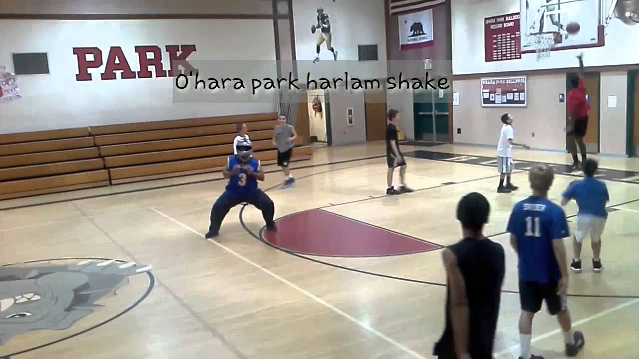 O'hara park harlem shake
