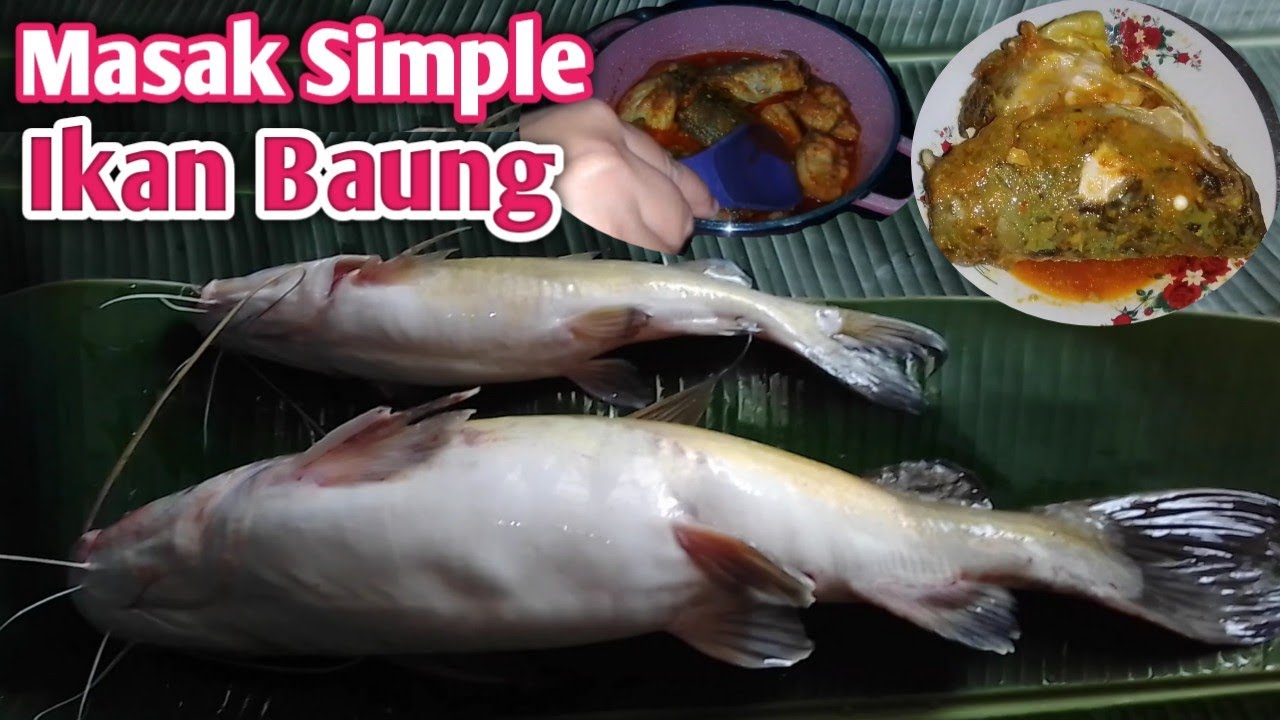 Masak Simple Ikan Baung/Ikan Sungai
