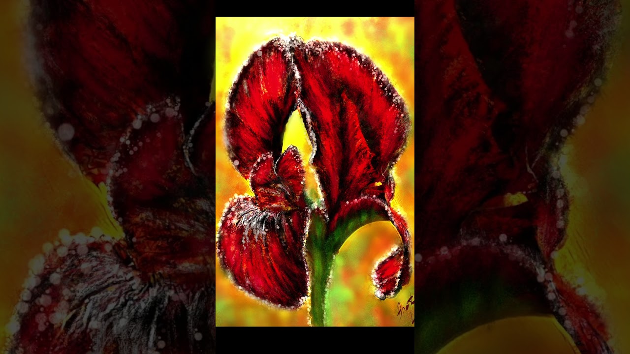 "Iris in color" 2024 original`s work 