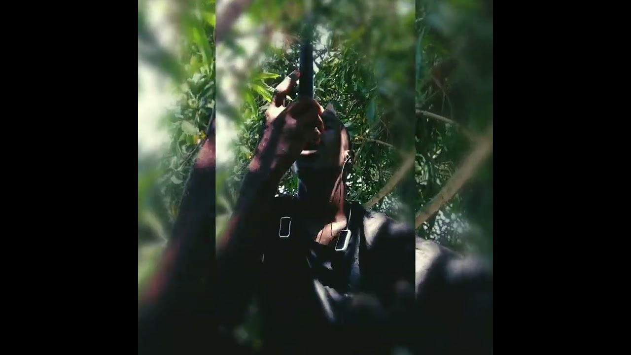 Eu Elevo os meus olhos para além dos montes| #Cover #2026•••• Milton Herdeiro de Deus 🎙️🇧🇷🇦🇴