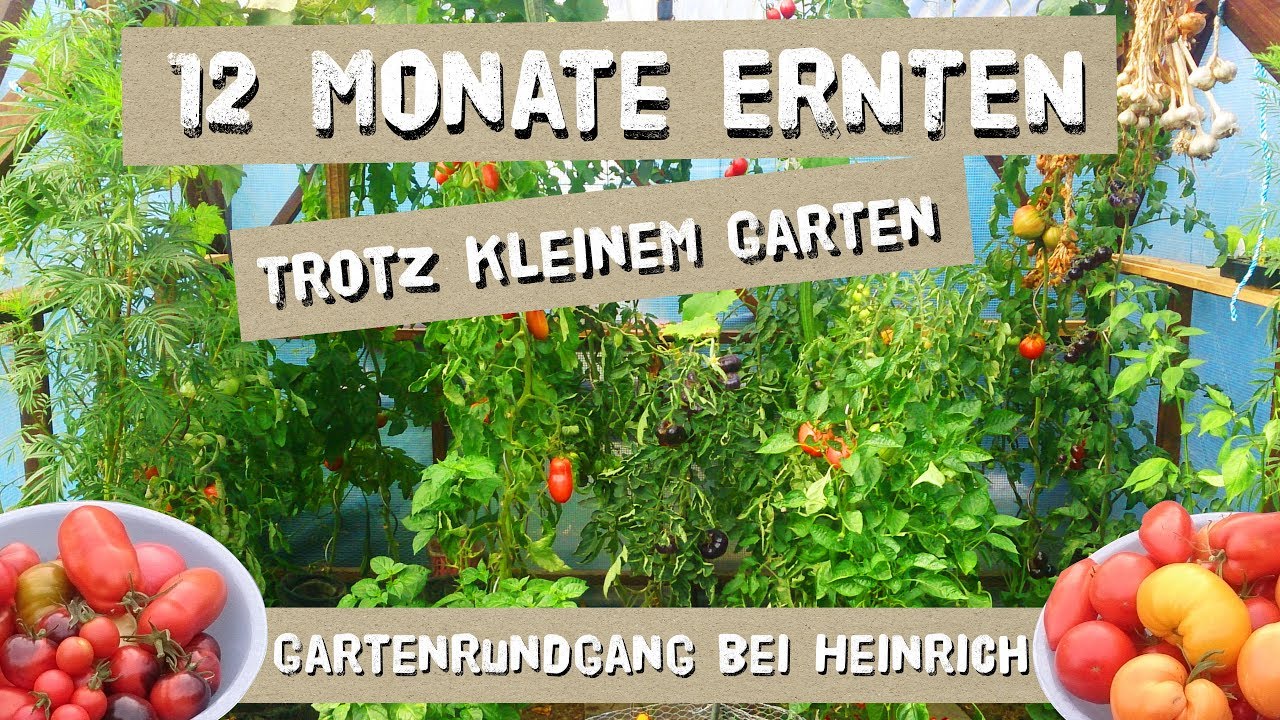 12 Monate ernten, trotz KLEINEM Garten - Gartenrundgang