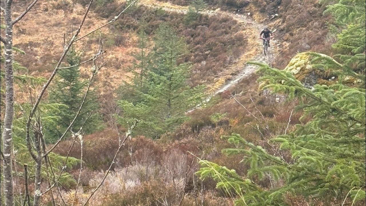 Easy roll down the red trail at laggan woullftrax #mtb #funn #shimano #hope #maxxis #bike #nukeproof