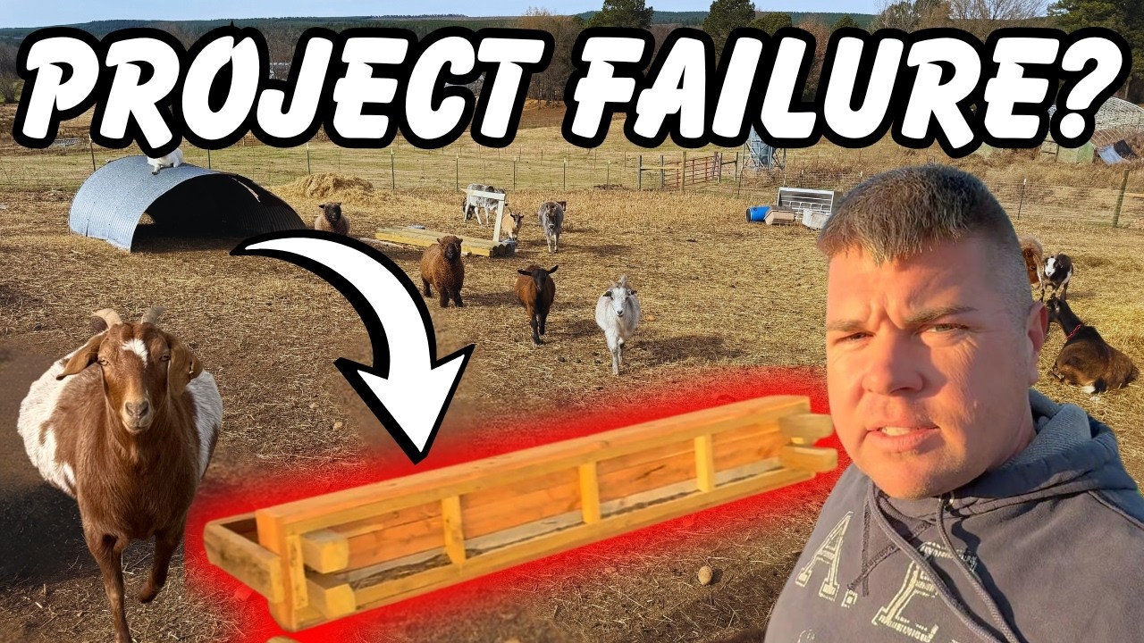 Goats Destroyed It! DIY Goat Feeder = TOTAL FAILURE