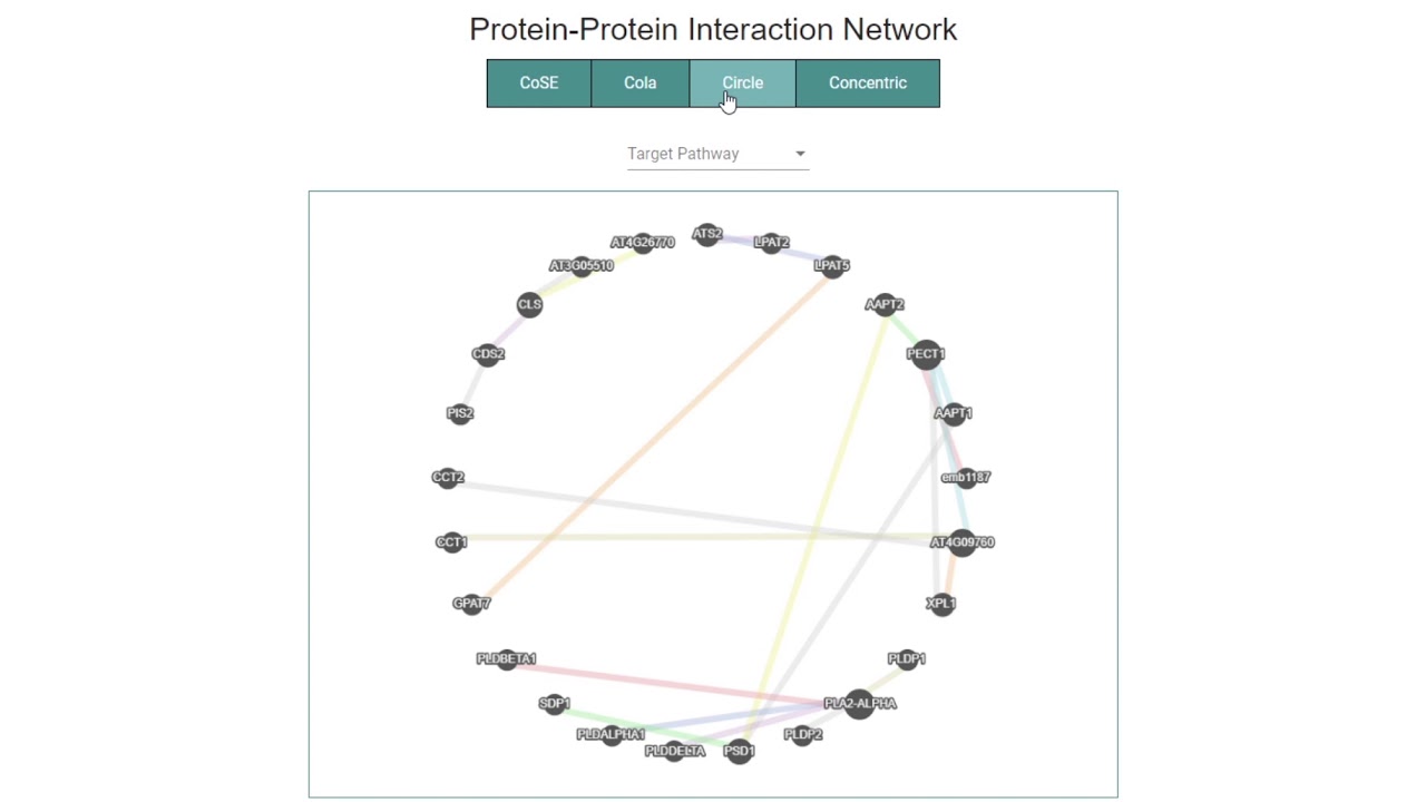 Fatplants - Protein Protein