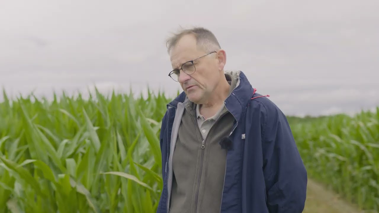 Couverts hivernaux : avis d’un agriculteur après 15 ans d’expérience