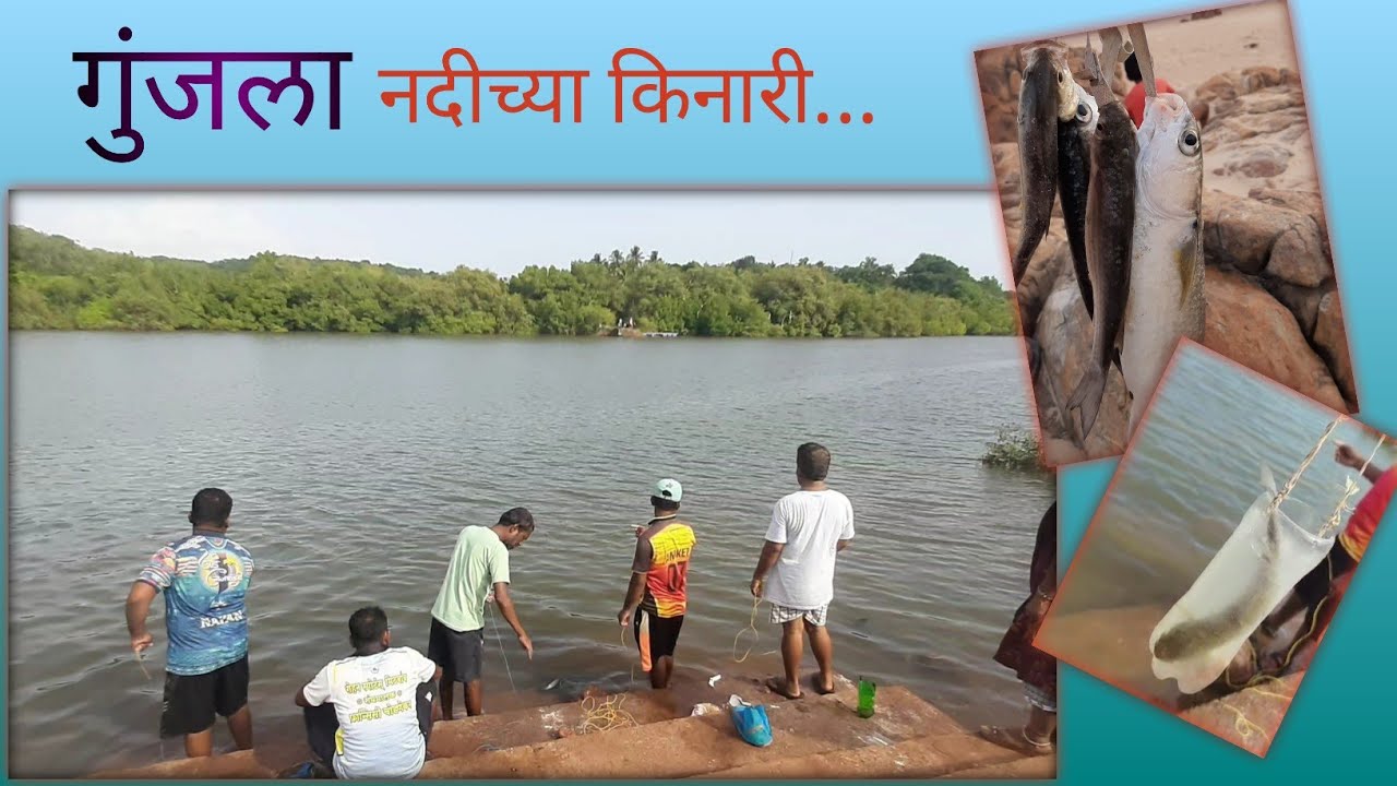 मिठबावच्या नदीकाठावर पकडले गुंजला मासे |    sarika mithbavkar