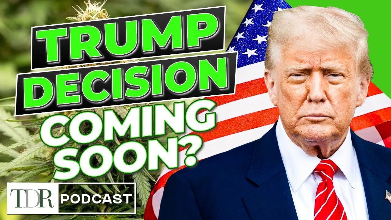 MSOS Volatility Signals Big Week for Cannabis Stocks | TDR Cannabis in 5