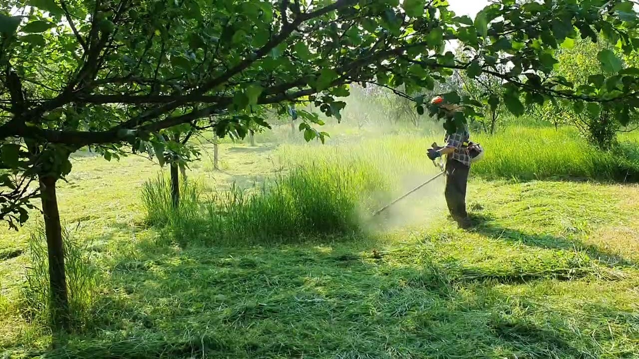 Stihl FS 260 C in action