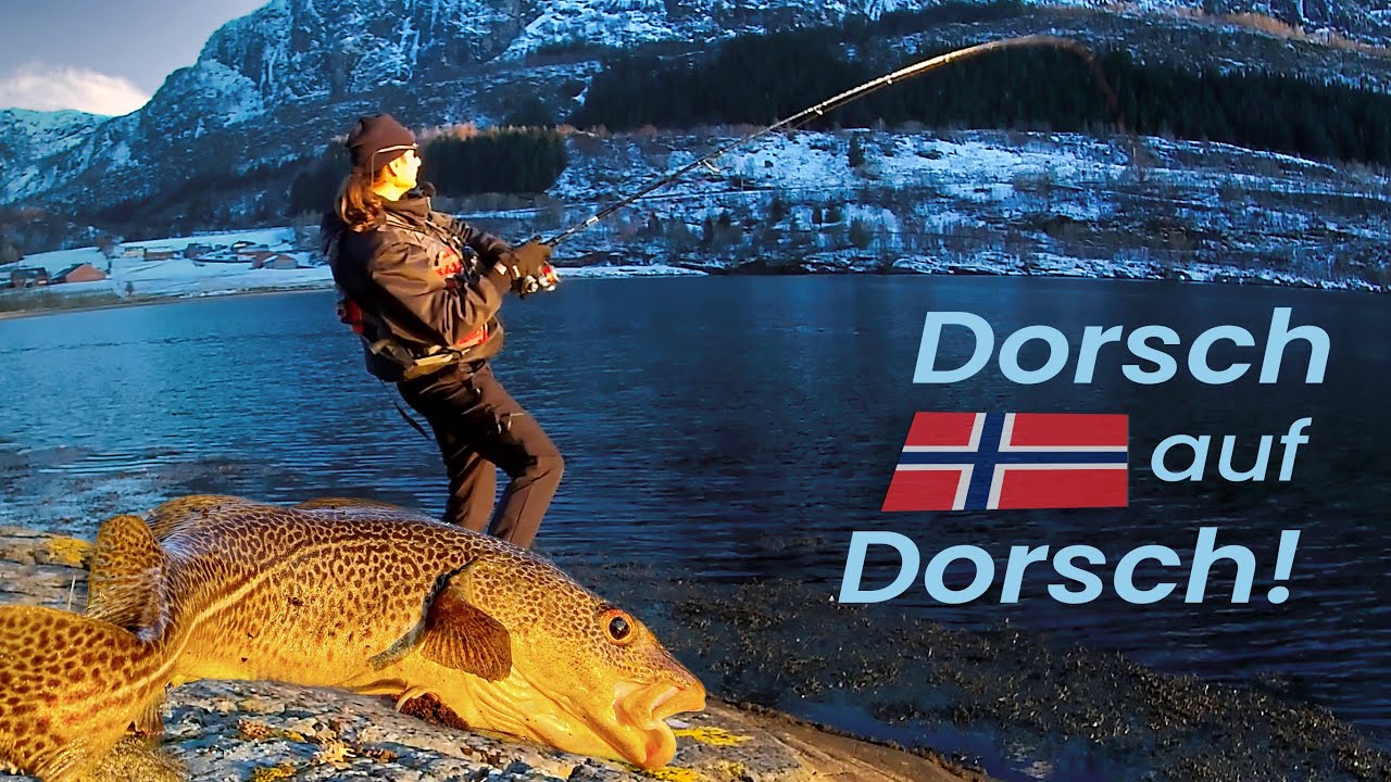 DORSCHE im Frühling 23 vom UFER in NORWEGEN - Tipps & Tricks!