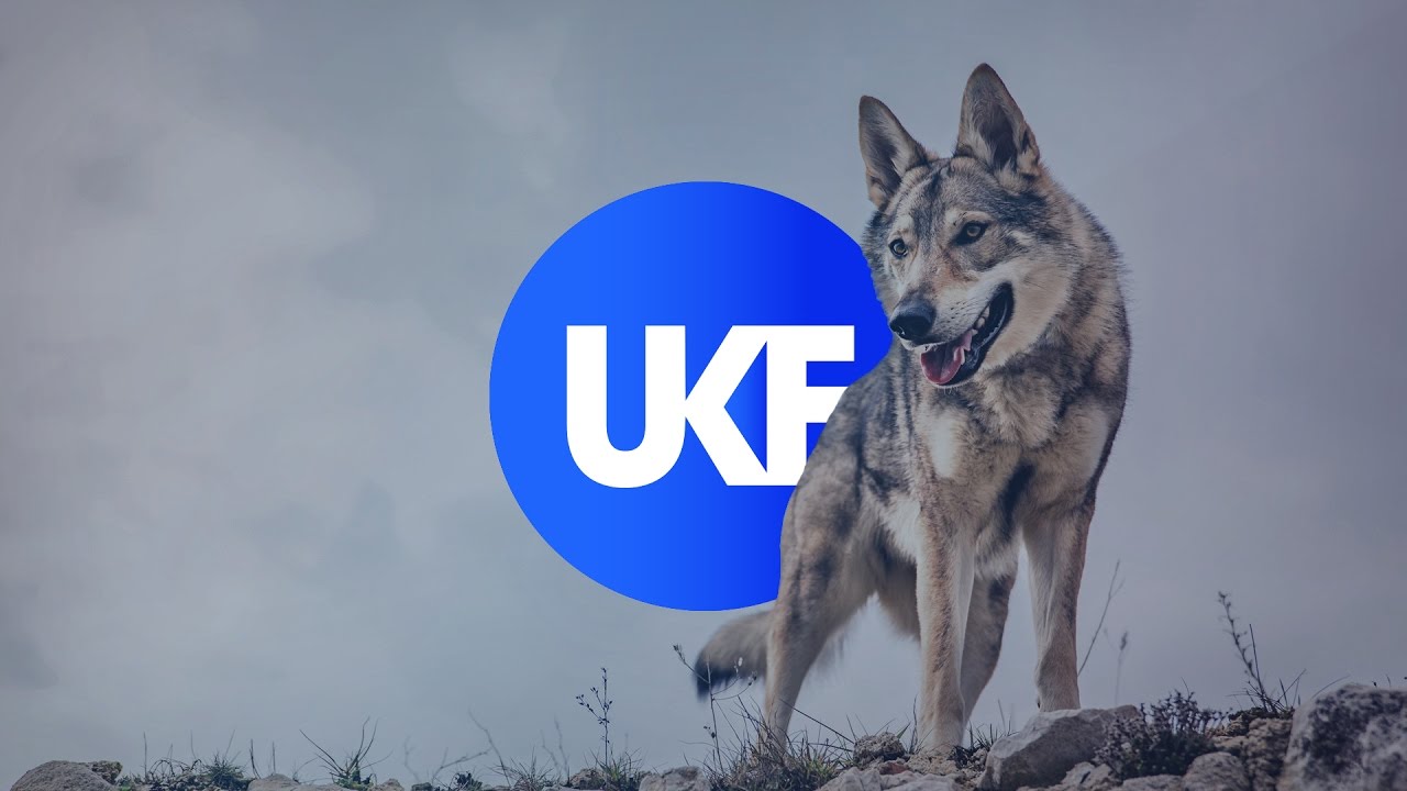 Torqux - The Wolf