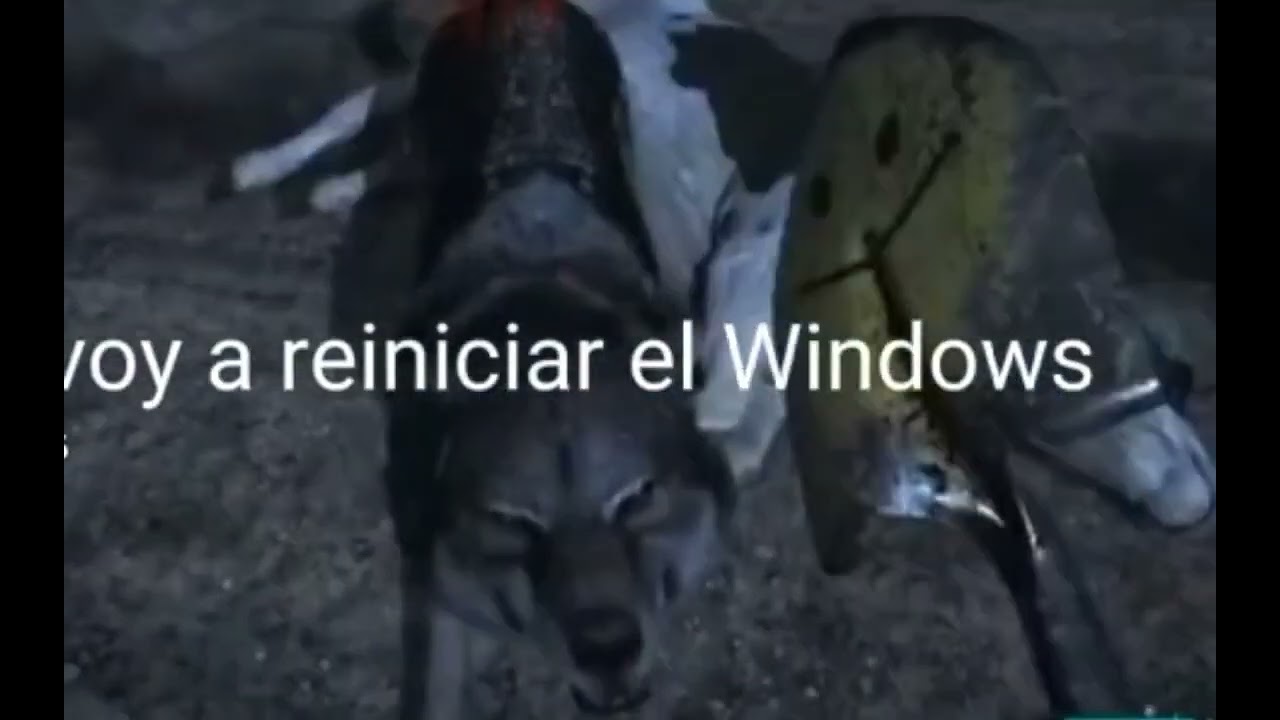 soltame la pata te voy a reiniciar el windows #meme