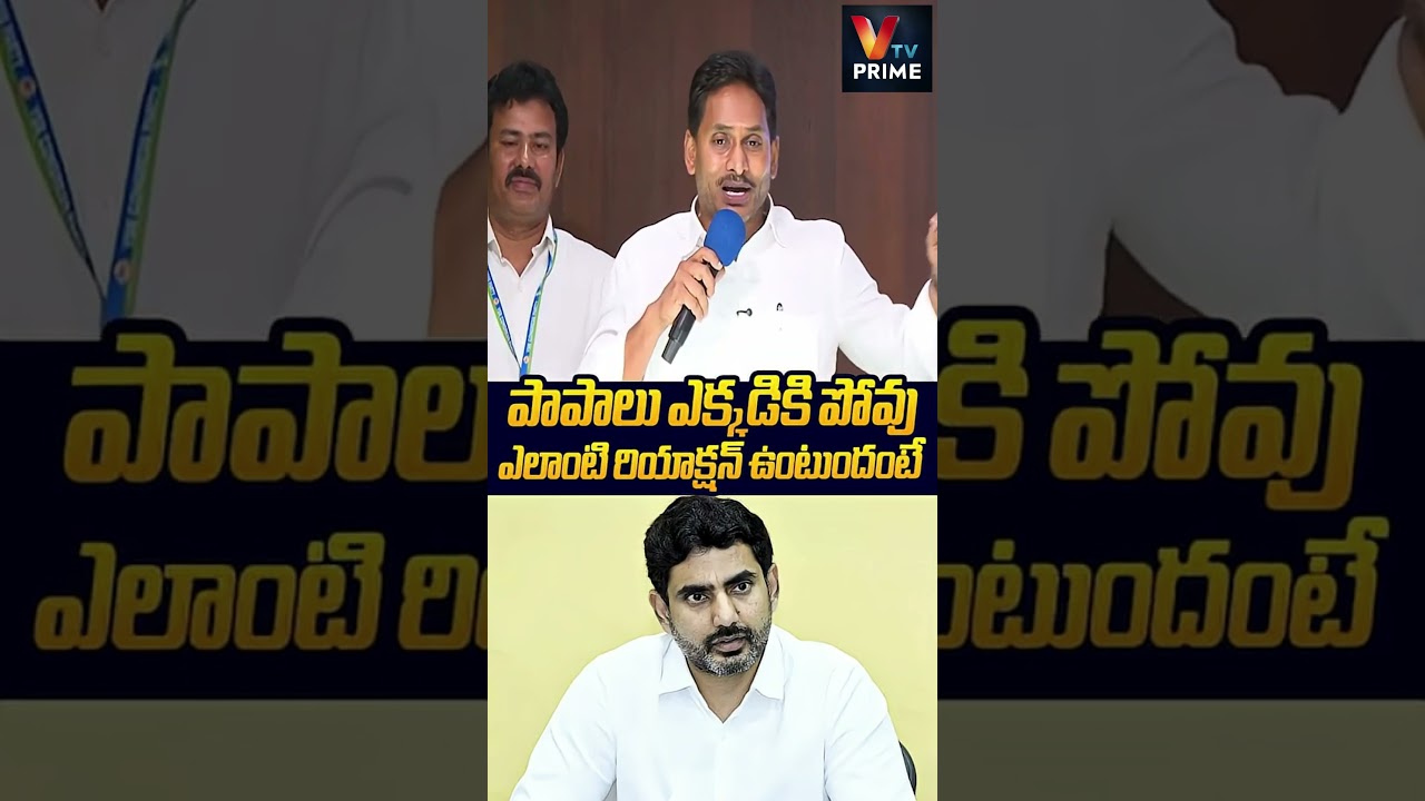 పాపాలు ఎక్కడికి పోవు లోకేష్ #YSJagan
