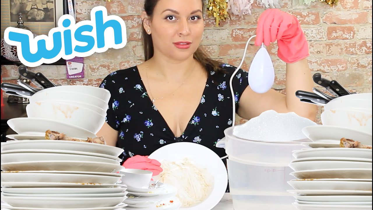 Dishwasher You Didn't Know Existed Wish Review - Vivian Tries