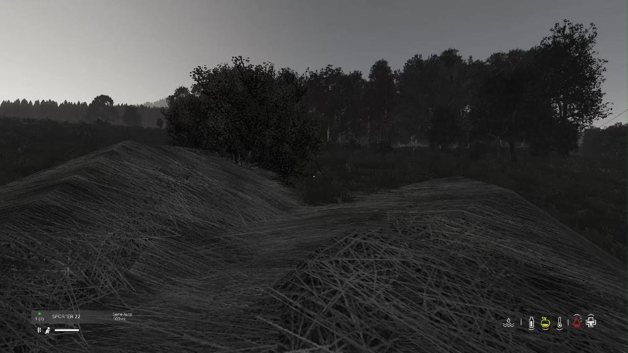 DayZ_20260109063213