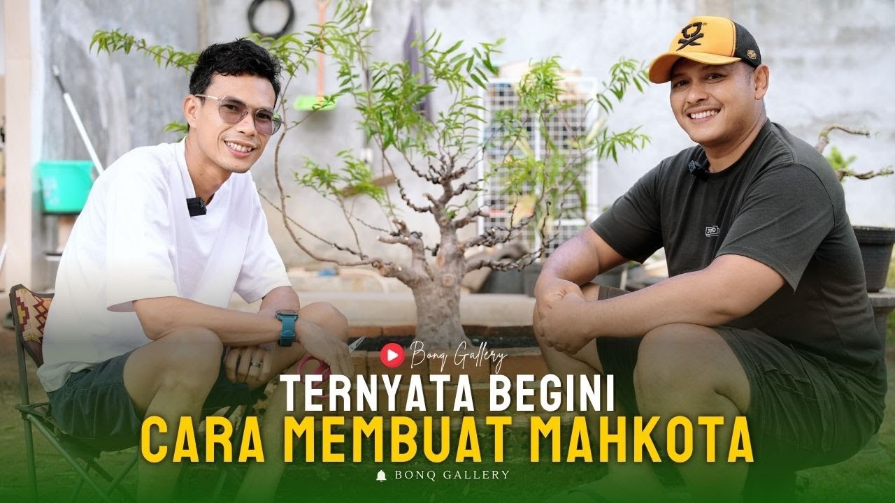 Rahasia Membentuk Mahkota Bonsai Anting Putri, Mudah Tapi Banyak yang Salah!