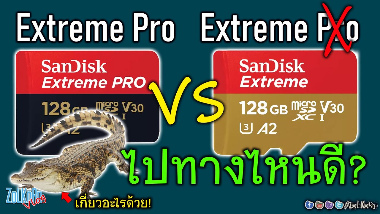 ความรู้ใหม่ของ บังซอล กับ MicroSD Card และ จรเข้! (สิ่งที่ควรรู้ก่อนซื้อ SD Card แพงๆ เร็วๆ)