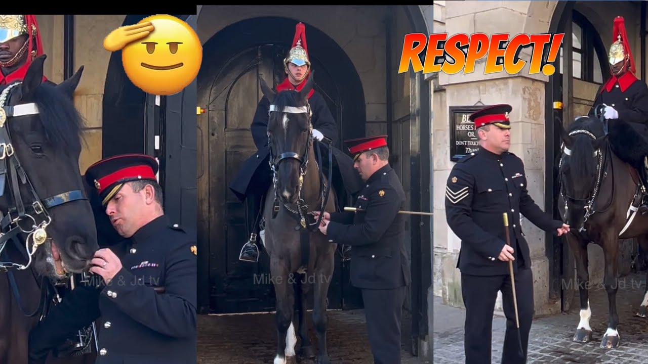 Smart Corporal Of Horse Does An Amazing Job At The Horse Guards SALUTE!