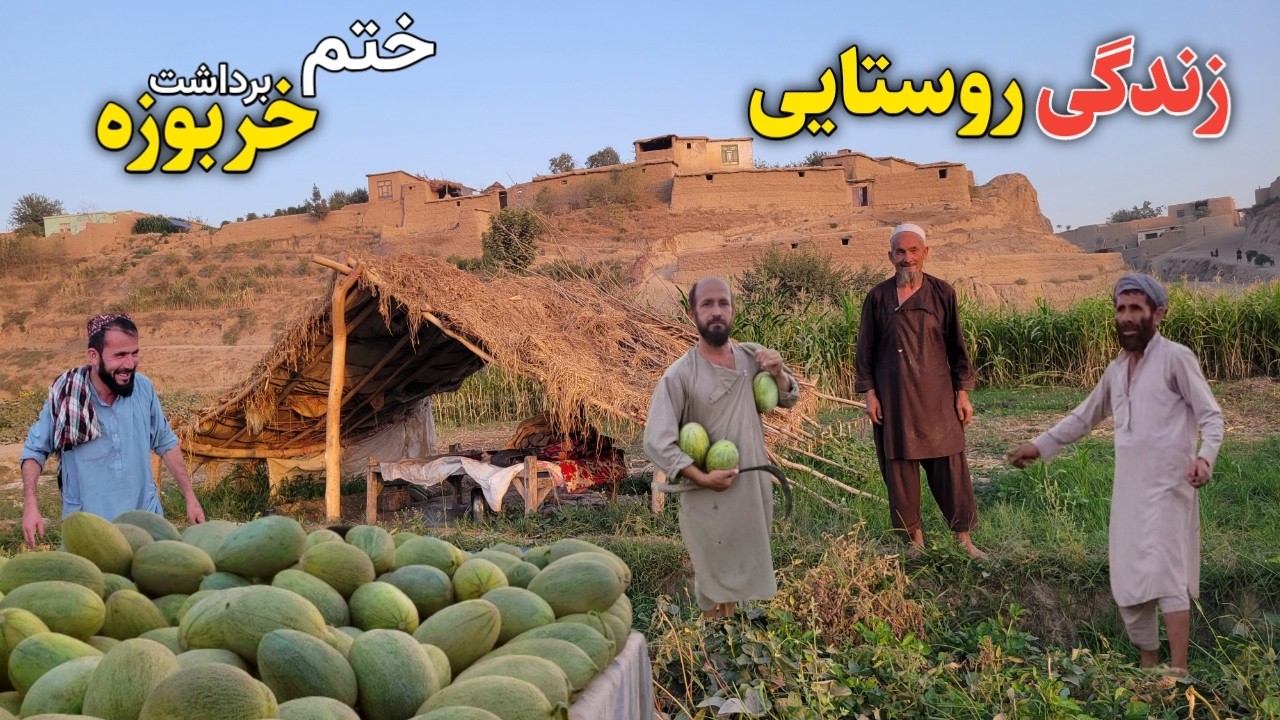 ختم برداشت خربوزه در دهکده ما ، دیدار از زندگی روزمره دهقانکاران و قصه های وطنی || Our Village