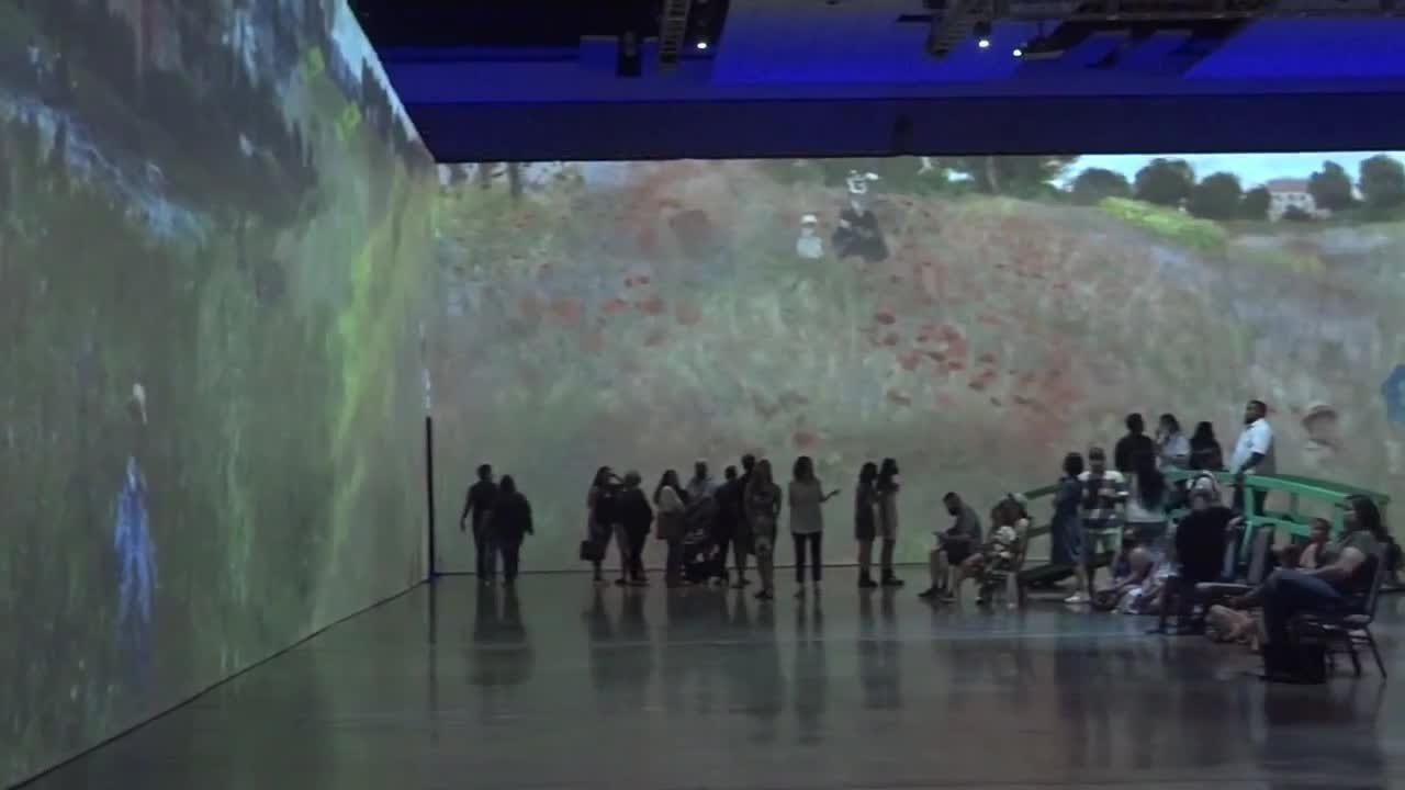 Beyond Monet the Immersive Experience In Hawaii