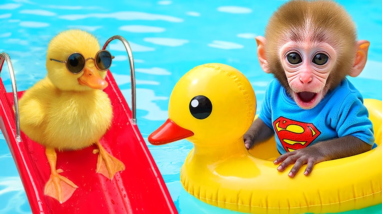Monkey Baby Bon Bon : A Chaotic Night with Irresistible Requests