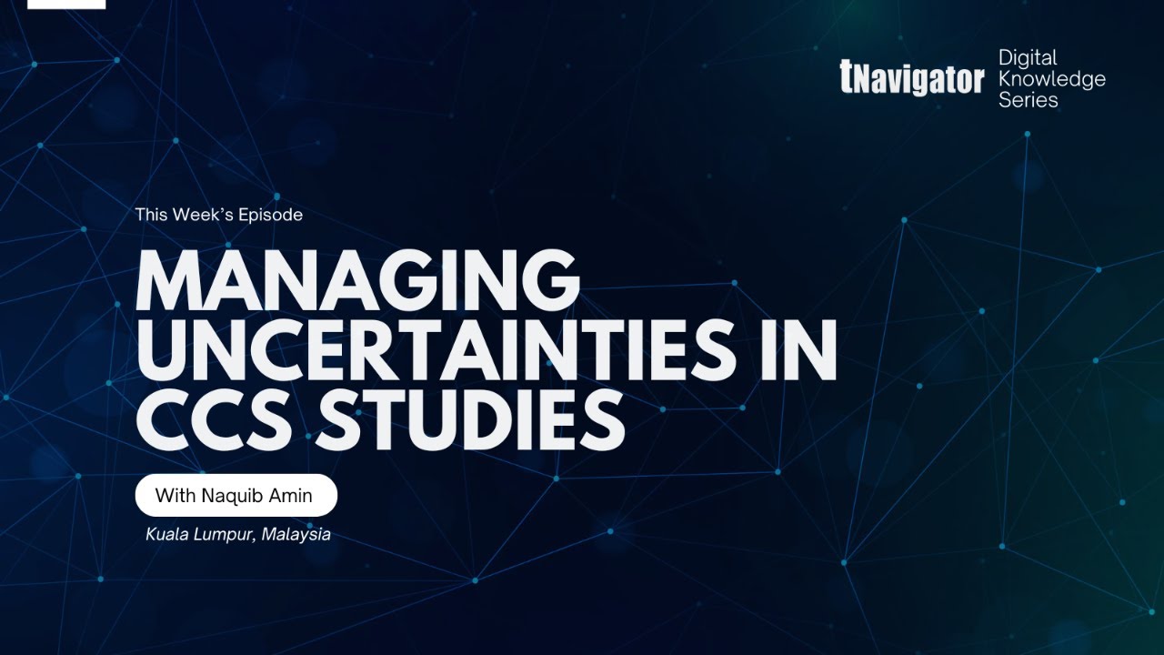 Digital Knowledge Series: Managing Uncertainties in CCS Studies
