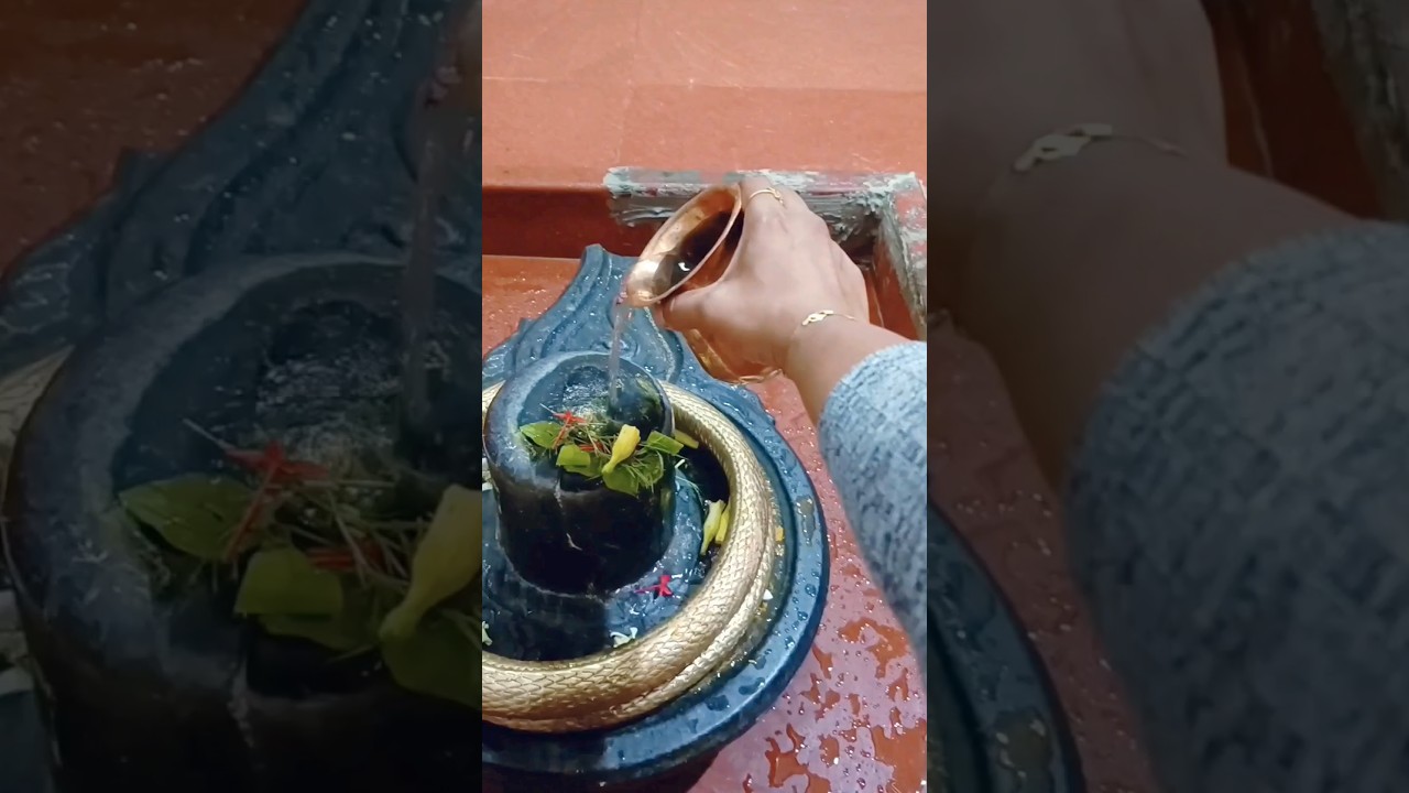 #Lord Shiv Abhishekam#short# #Early morning#pooja#Mahadev #video#Bole nath#Shiv ji#Trending#