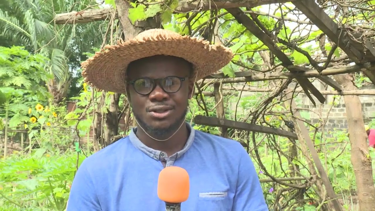 ÉMISSION TERRE ACTU : Impacts des systèmes de reproduction des plantes sur les rendements agricoles