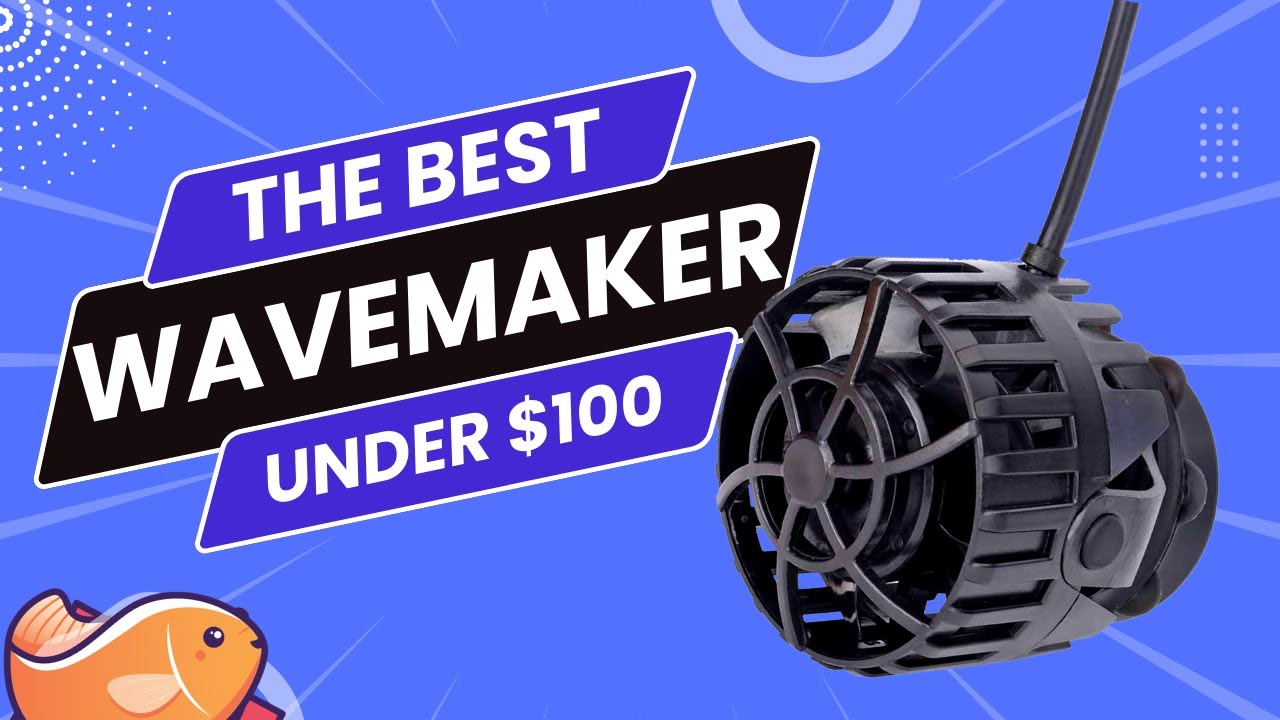 Best Budget Wavemaker For Your Reef Aquarium Under 100 Dollars!