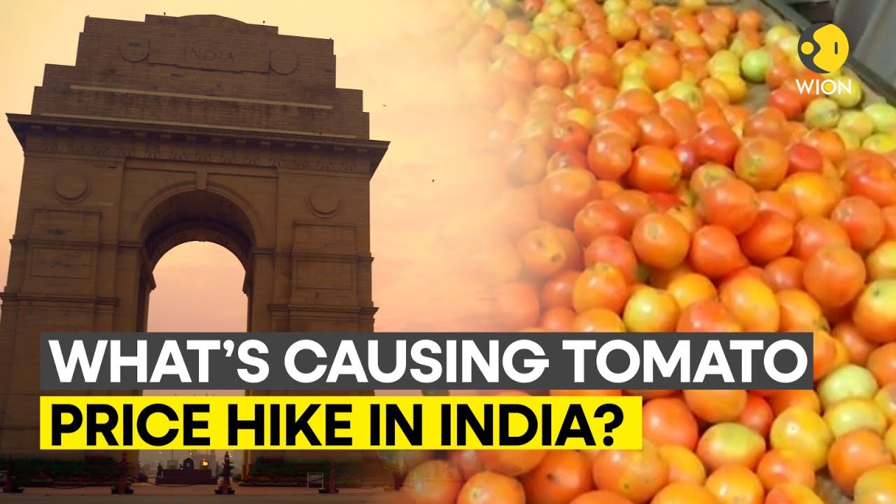 Tomato prices in India: What's driving the hike? All you need to know