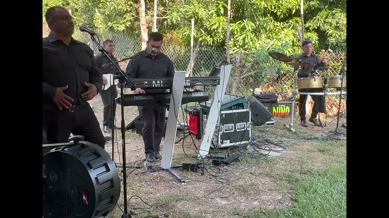 Como relámpago en vivo contrata al 8331718668