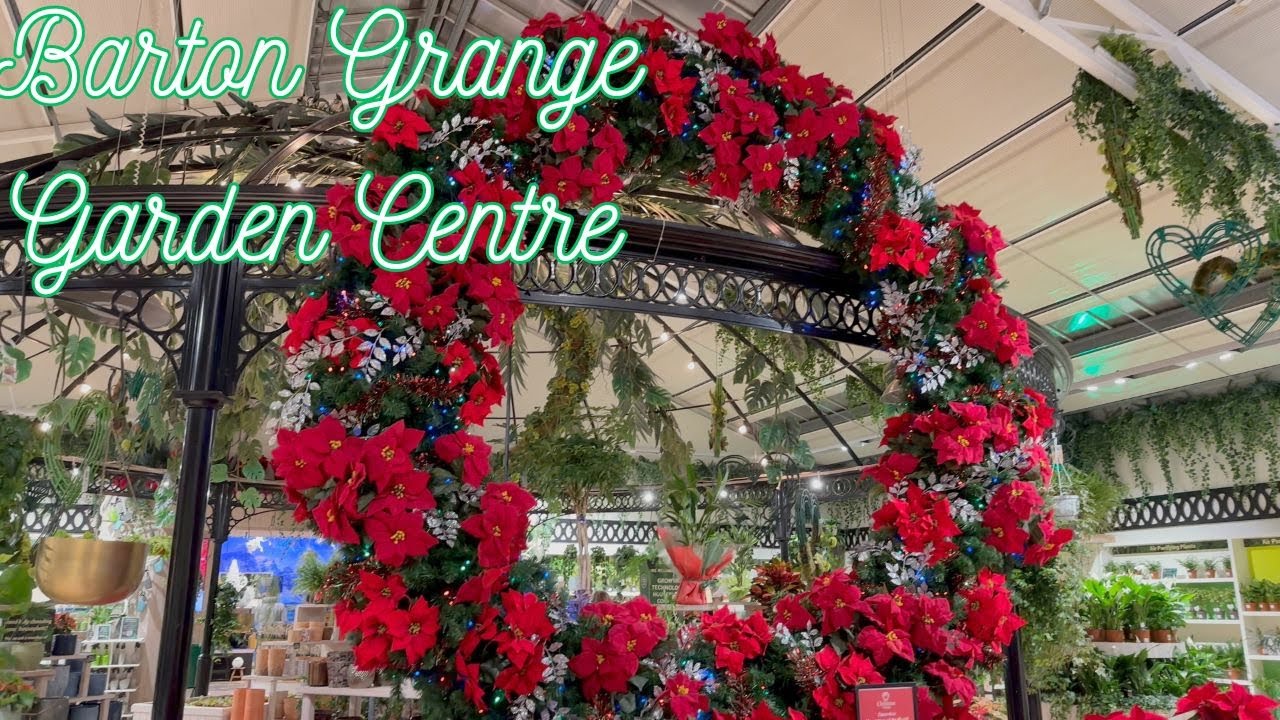 Barton Grange garden centre - Christmas lights and festive goodies!