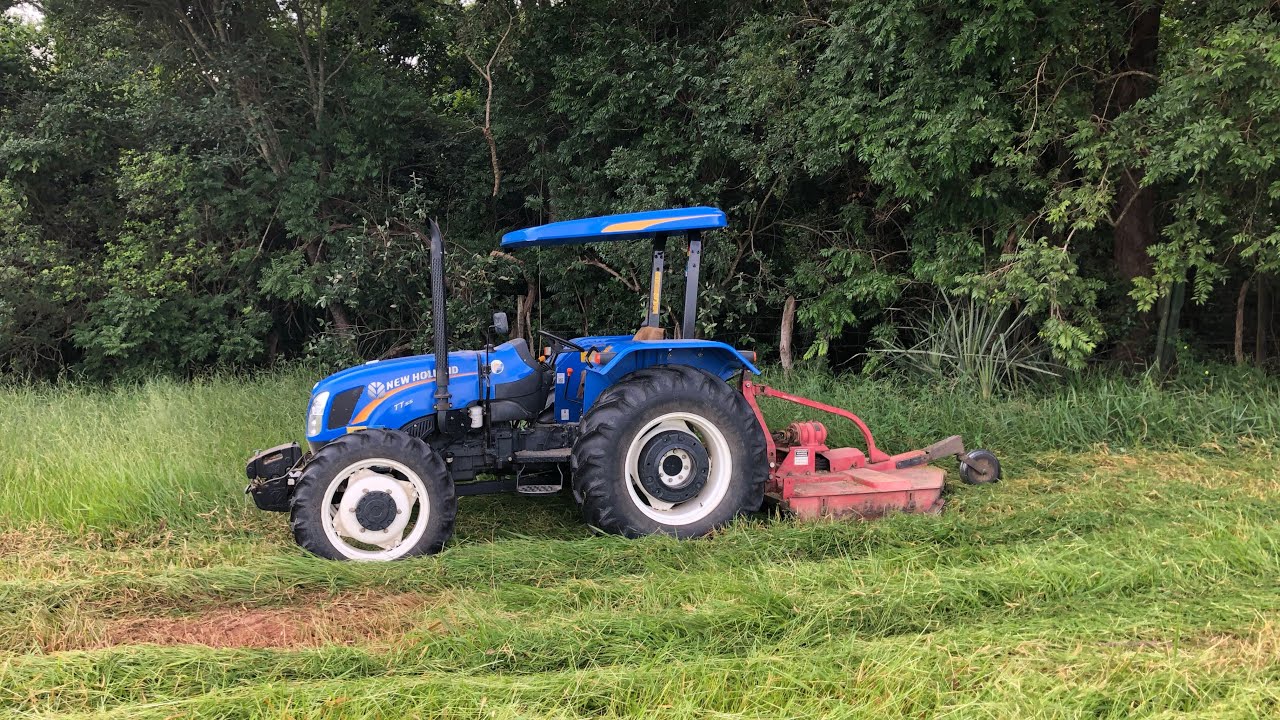 TRATOR NEW HOLLAND TT 55 NA ROÇADEIRA!