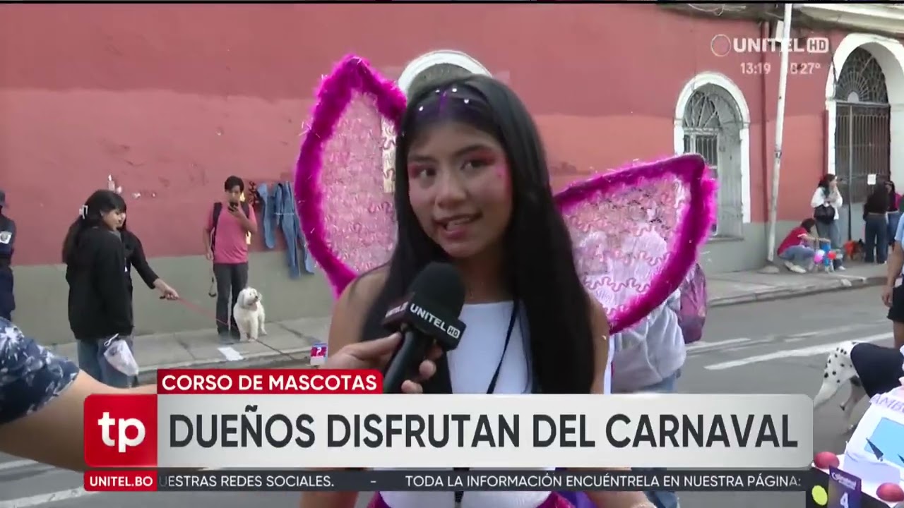 Con creativos y coloridos disfraces, así se vive el Corso de Mascotas de Cochabamba