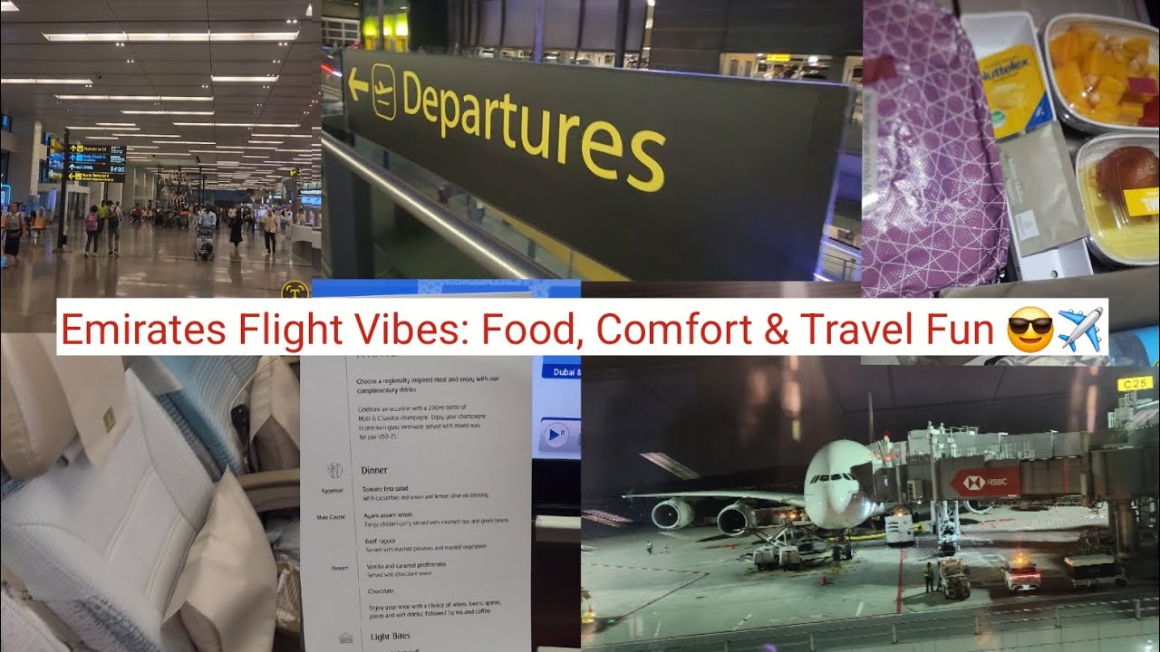 Emirates Flight Vibes: Food, Comfort & Travel Fun 😎✈️   #trending #travel #video #viralvideo #tips 