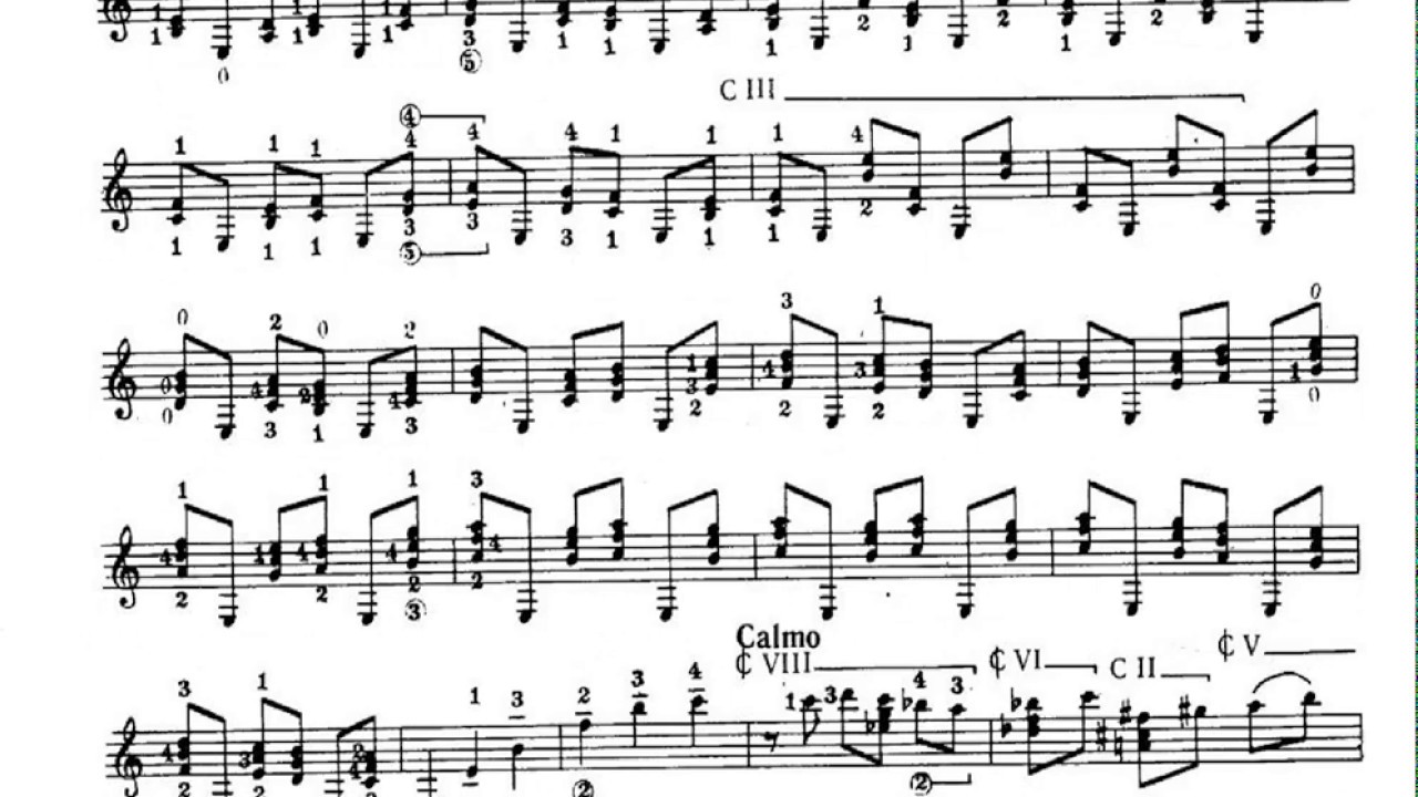 Concierto del Sur - Manuel Ponce - Adam Cicchillitti and Luke Bell (1st movement)