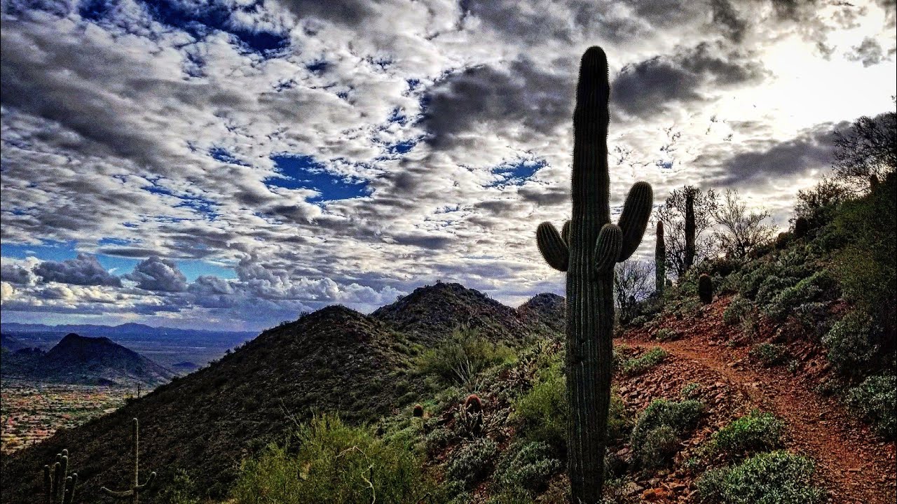 Hiking Sunrise Peak Trail via 136th Spur Scottsdale McDowell Mountain Preserve Arizona Scramble