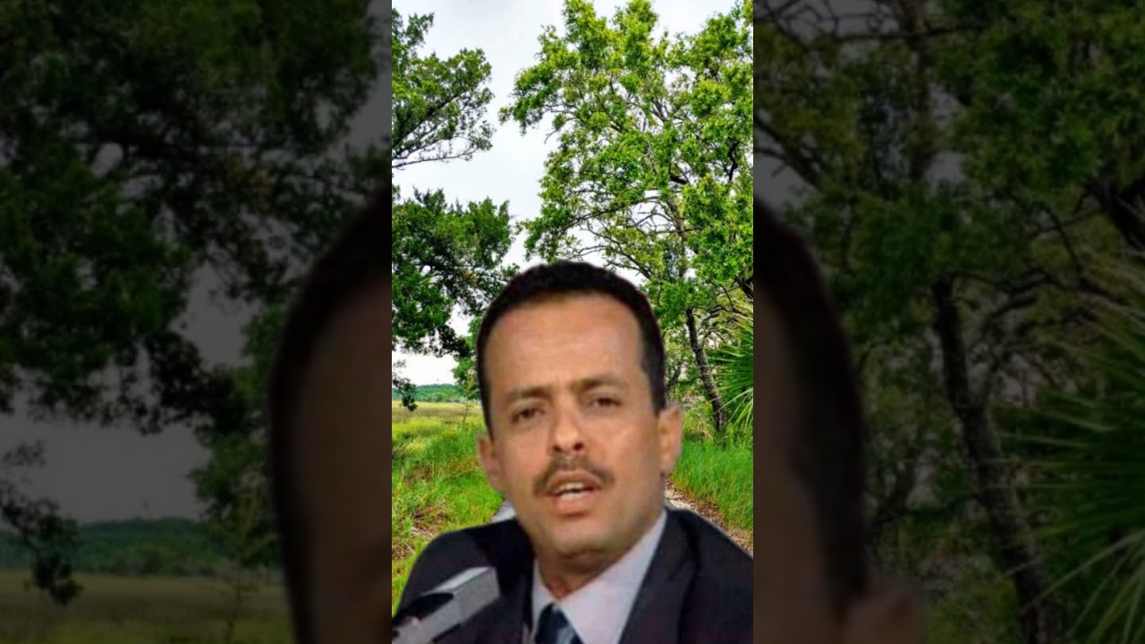 احمد علي الحبيشي يغني من الحانه وكلمات عبده أحمد الحطامي اغنية قمري اليمن