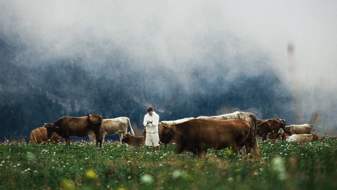 Illumate &ndash; 1,75