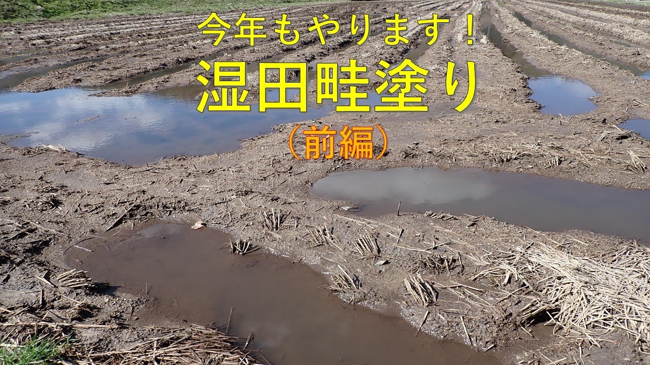 第１８４回　やらなきゃならない時もある、湿田畦塗り（前編）