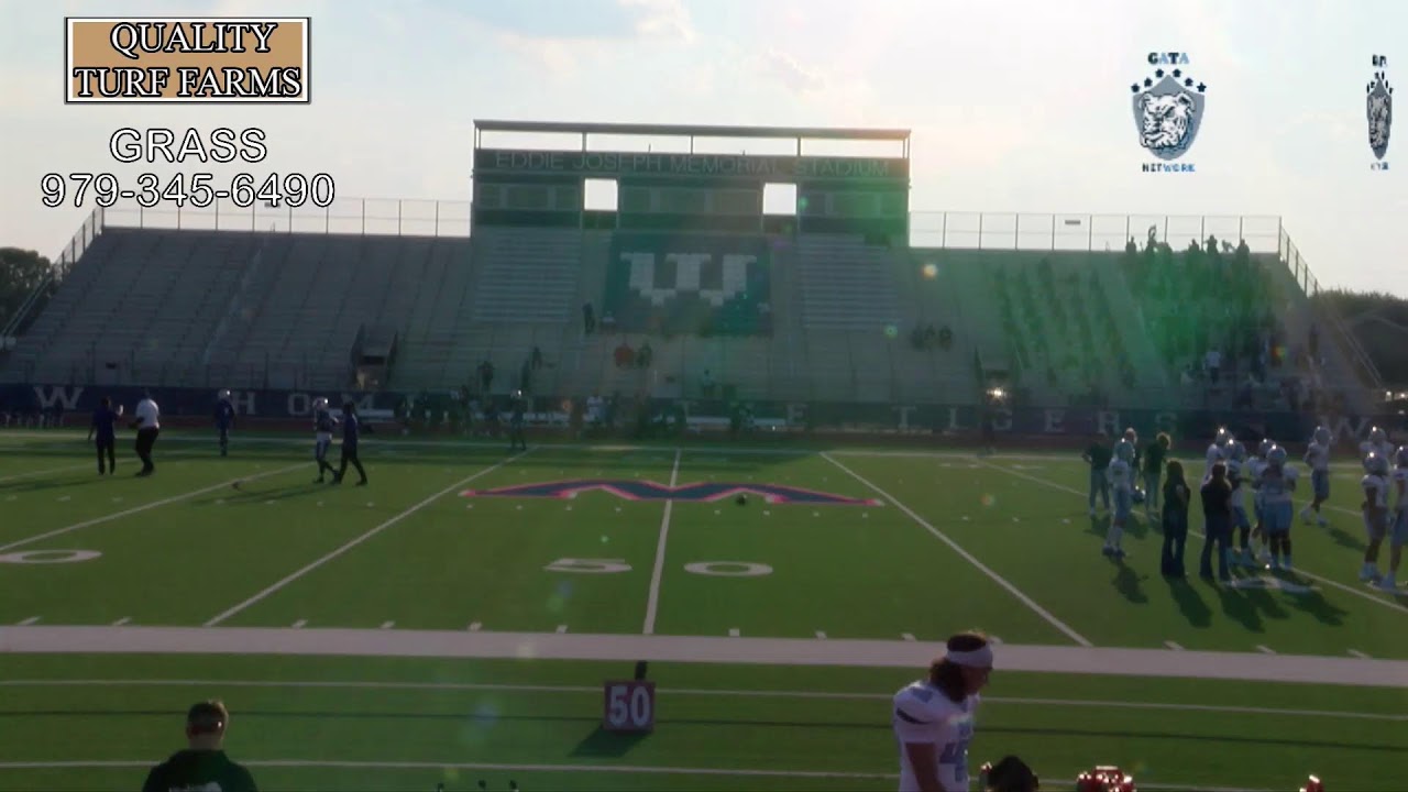 Matt Way Live Stream