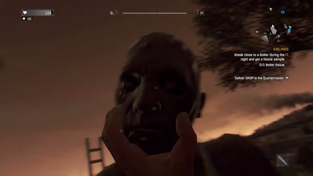 Chasing Bolter #dyinglight 