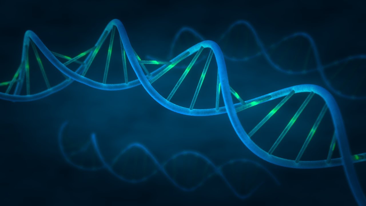 Blender Tutorial I Create a DNA Helix using Blender and ARewO