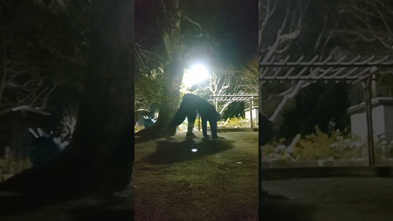 山崎健治 がライブ配信中！