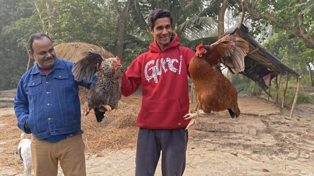 আজ সুন্দরবন থেকে বাড়ি ফেরার দিন 😊 এই কদিন খুব মজা করলাম ☺️ #sundarban #familyvlog 