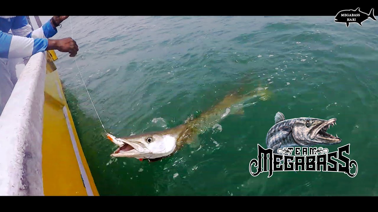 Malpe Fishing for Monster Fish Part - 01 / Udupi Malpe / India