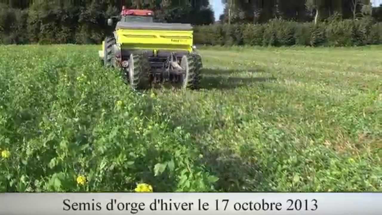 Suivi d'une parcelle en semis direct sous couvert végétal chez SKY Agriculture