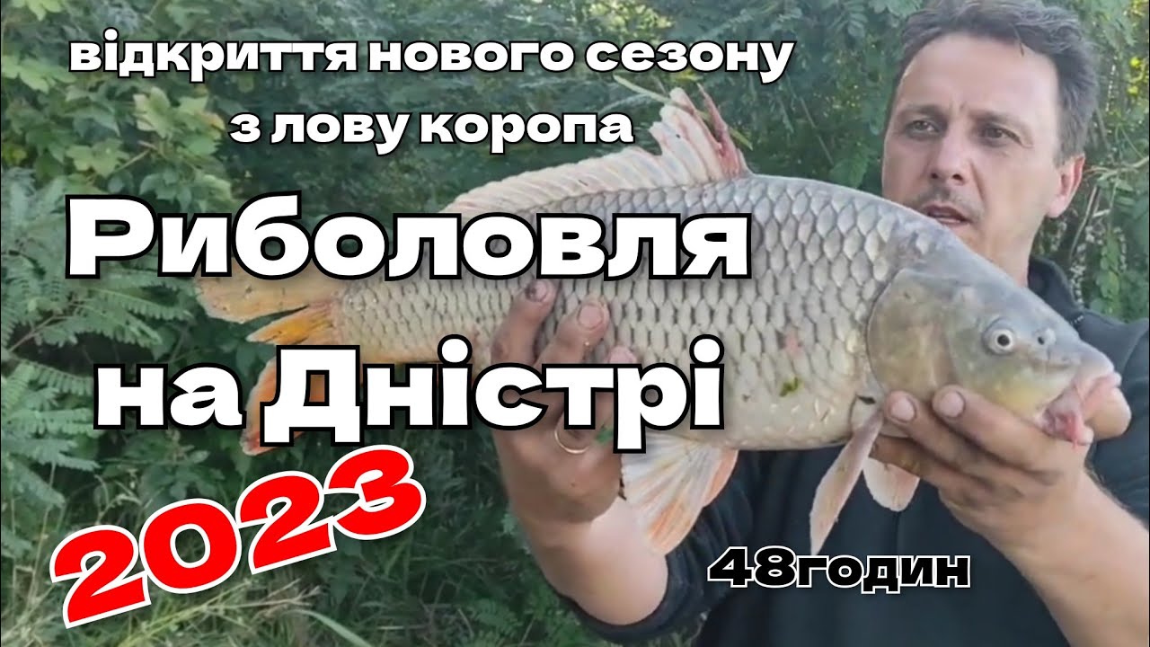Риболовля на Дністрі 2023 / 48 годин, відкриття нового сезону з лову коропа