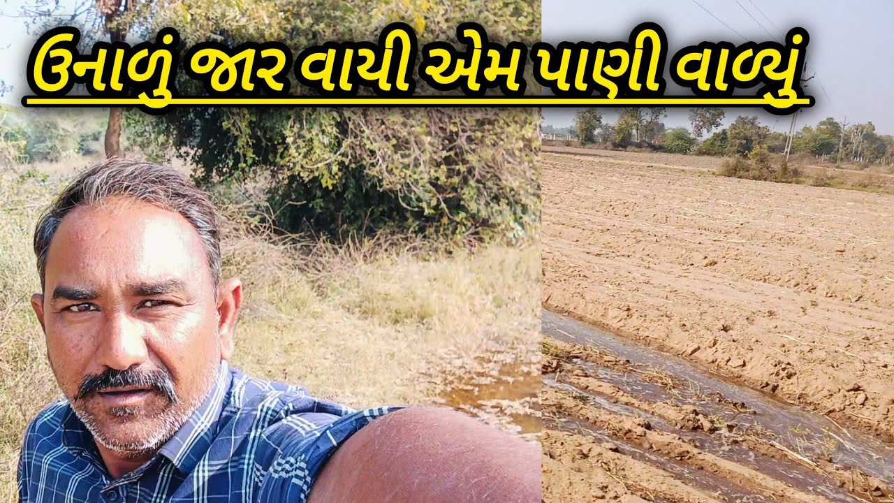 #gujarati #familyvlog #vlog//🌱ઉનાળું જાર પૂંખી ને પાણી વાળ્યું 🌿 તમાકું નું છેલ્લું પાણી?.....